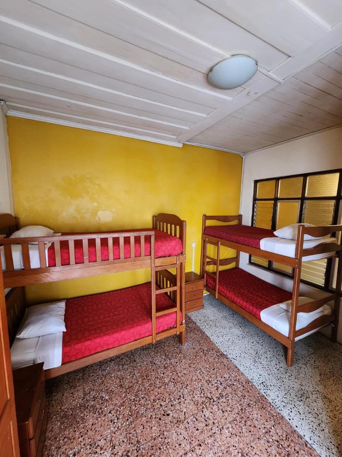 Flying Dog Hostel Ικίτος Εξωτερικό φωτογραφία