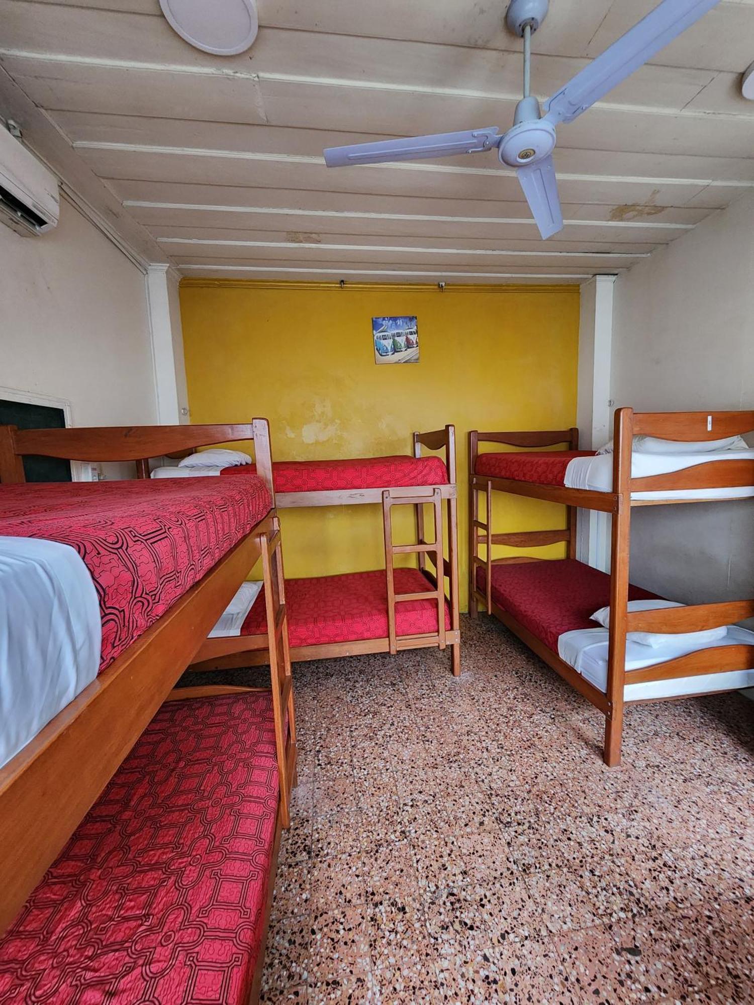 Flying Dog Hostel Ικίτος Εξωτερικό φωτογραφία