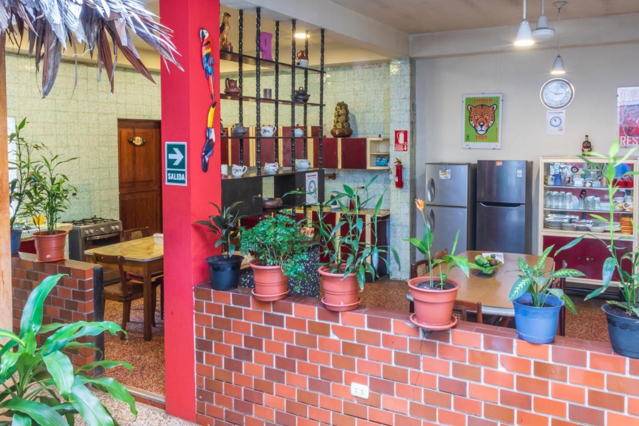 Flying Dog Hostel Ικίτος Εξωτερικό φωτογραφία