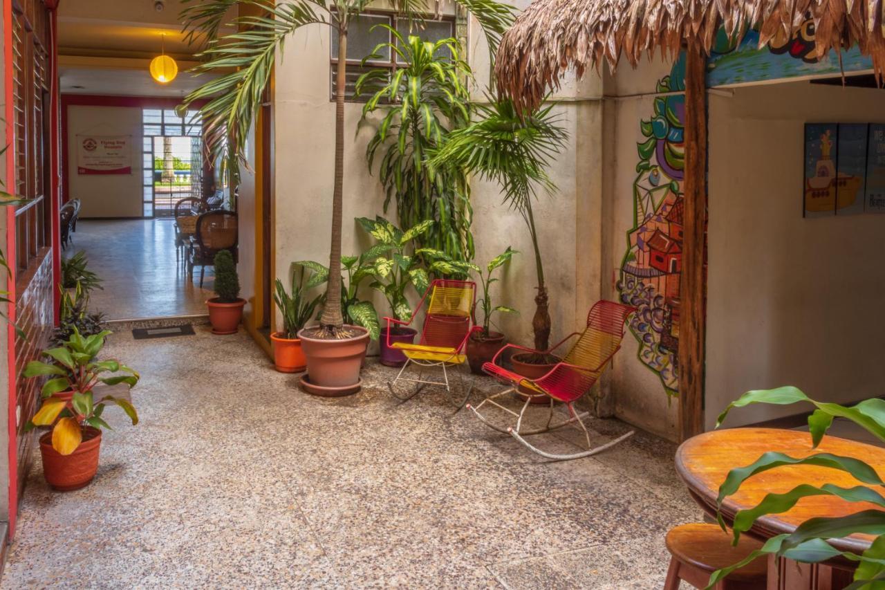 Flying Dog Hostel Ικίτος Εξωτερικό φωτογραφία